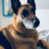 Daniel_Eads - @daniel_eads - TikTok