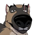 Daniel _ Eagle - @eagledaniel_ - Instagram