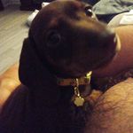Daniel Earp - @wdanielearp - Instagram