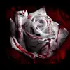 Daniel Eastman - @daniel_eastman - TikTok