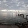 danieleastman - @danieleastman - TikTok