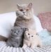 Akif Danial - Facebook