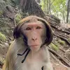 Daniel - @danieleddy36 - TikTok