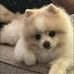 Daniel Edmunds - Facebook