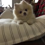 Daniel Edmunds - @dedmunds001 - Instagram