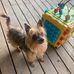 Daniel Ehler - Facebook
