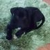 Daniel Ehler - Facebook