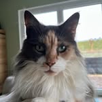 Danielle Ehmann - @ehmann.danielle - Instagram