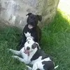 danieleichhorn743 - @danieleichhorn743 - TikTok