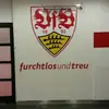 danieleisenhardt5 - @danieleisenhardt5 - TikTok