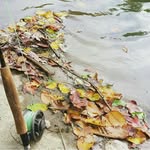 Daniel Elam - @keeping_fishing_alive - Instagram