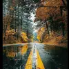 daniel_der_king_3 - @daniel_der_king_3 - TikTok