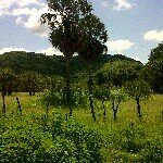 daniel elenes - @daniele0610 - Instagram