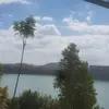 Daniel Eley - @daniel.eley44 - TikTok