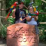 Dan Elfers - @dan.elfers - Instagram