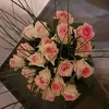 danielaelfers - @danielaelfers - TikTok
