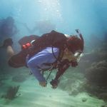 Daniel Elieson - @daniel_elieson - Instagram