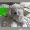 Daniely Elisio - @daniely.elisio - TikTok
