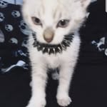 daniel - @danielelkinsx - Instagram