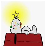 Dan Ellenbogen - @danellenbogen - Instagram