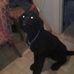 Daniel Elliott - Facebook