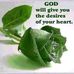 Daniel Elton - Facebook