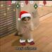 Daniel Elton Tito - Facebook