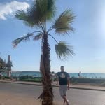Dániel Erdei - @erdeidani77 - Instagram