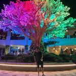 Daniel Estremadoyro - @daniel_ej2 - Instagram