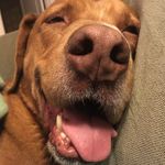 Dan Estrin - @estrindaniel - Instagram
