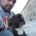 Daniele Stringone - @danielestringone - Instagram