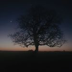 Daniel Etcheverry - @daniel.etcheverry.967 - Instagram