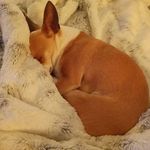 Mary Etzkorn - @danielle033100 - Instagram