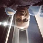 Daniel Eusébio - @danieleusebio55 - Instagram
