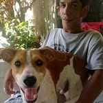 Daniel Evangelista - @daniel.evangelista.94801 - Instagram