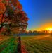 Daniel Evans - Facebook