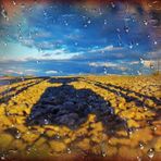 Daniel Evens - Facebook