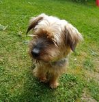 Daniel Evens - Facebook