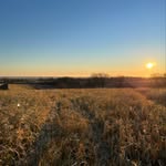 Daniel Evenson - @daniel.evenson - Instagram