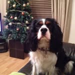 Daniel Evenson - @evenson_daniel - Instagram