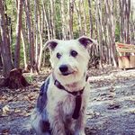 Daniel Evensen - @fondstastisch - Instagram