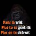 Daniel Exantus - Facebook