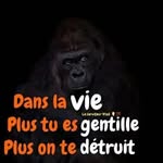 Daniel Exantus - @daniel.exantus - Instagram