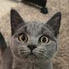 Daniel Exner - @daniel.exner54 - TikTok