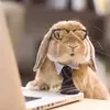 Daniel Eyob - @daniel.eyob86 - TikTok
