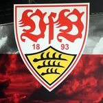 Daniel Faas - @vfbdani - Instagram