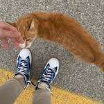 Daniel Fabbri - @magic.fxb - Instagram