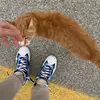 Daniel Fabbri - @magic.fxb - TikTok