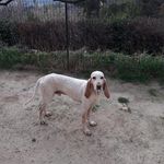 Daniel Fabre - @daniel.fabre.9003 - Instagram