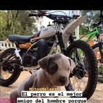 Daniel Facundo vásquez - @dani_elfacundo - Instagram